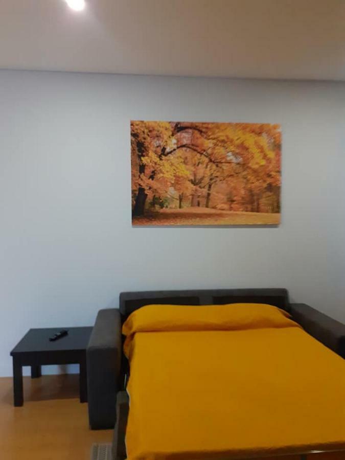 Basto Vila Hotel Cabeceiras de Basto ภายนอก รูปภาพ